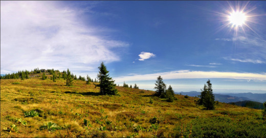 754091 (a): :2100x1089